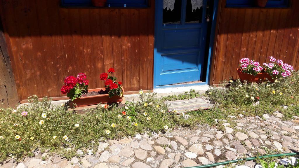 Pension Cartref Saschiz Exterior photo