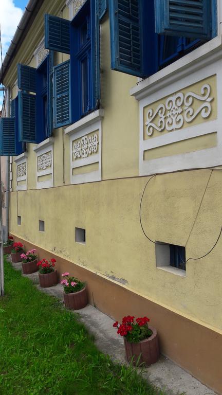 Pension Cartref Saschiz Exterior photo